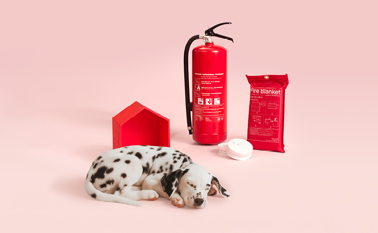 En hund ligger framför de fyra b:na: brandvarnare, brandsläckare, brandfilt och ett litet rött hus som representerar boendeförsäkring