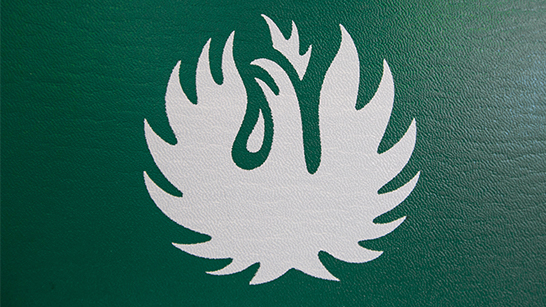 Brandskyddsföreningens logotyp i vitt på en grön bakgrund
