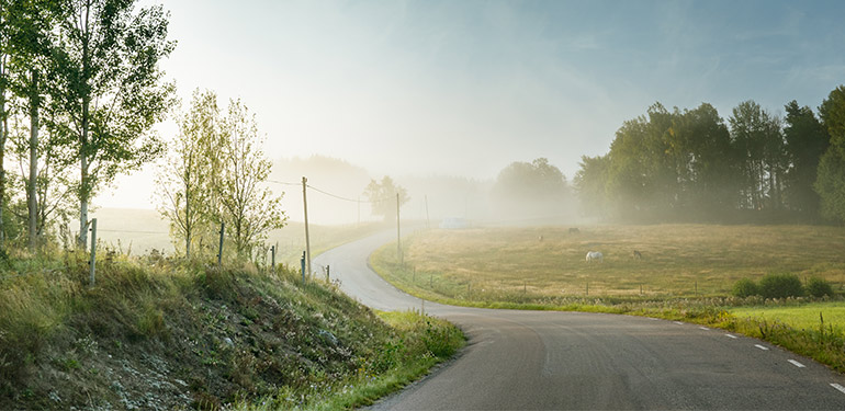 Landsväg i dimma