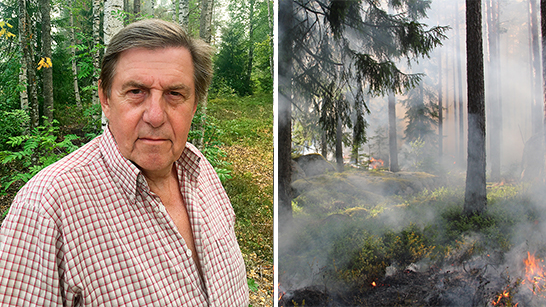 Björn Brink och en bild på en skog som brinner