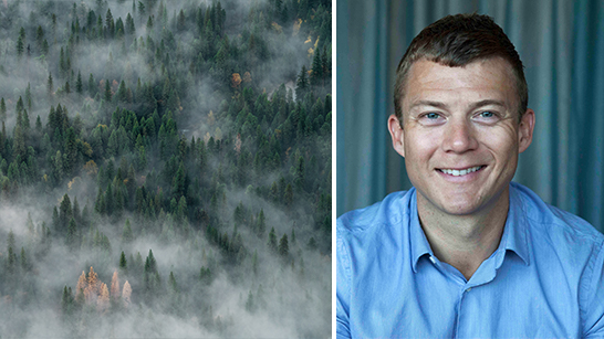 En rökfylld skog och Jesper Boqvist