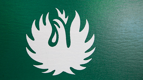 Brandskyddsföreningens logotyp fast i vitt med grön bakgrund