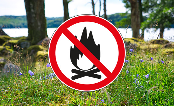 En symbol på eldningsförbud på en bakgrund med skogsmiljö