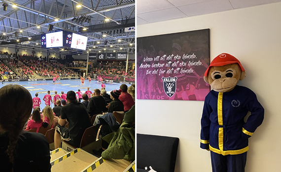 Bild på Flammy på lugnets Arena