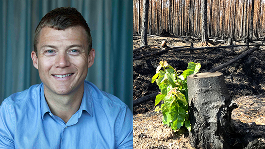 Jesper Boqvist och bild på en avhuggen trädstam i en skog