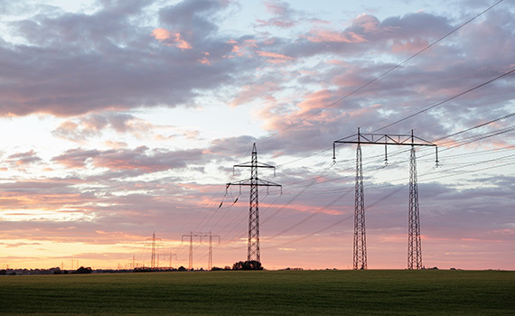 Elnät i solnedgången mot grönskande landskap