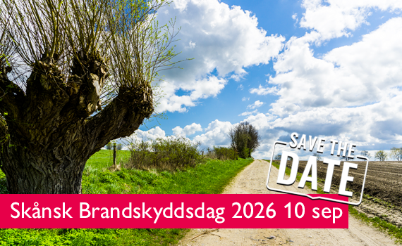 Skånskt grönskande fält med träd