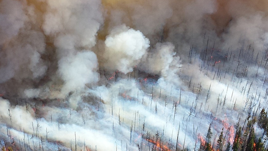 Flygfoto över en brinnande skog