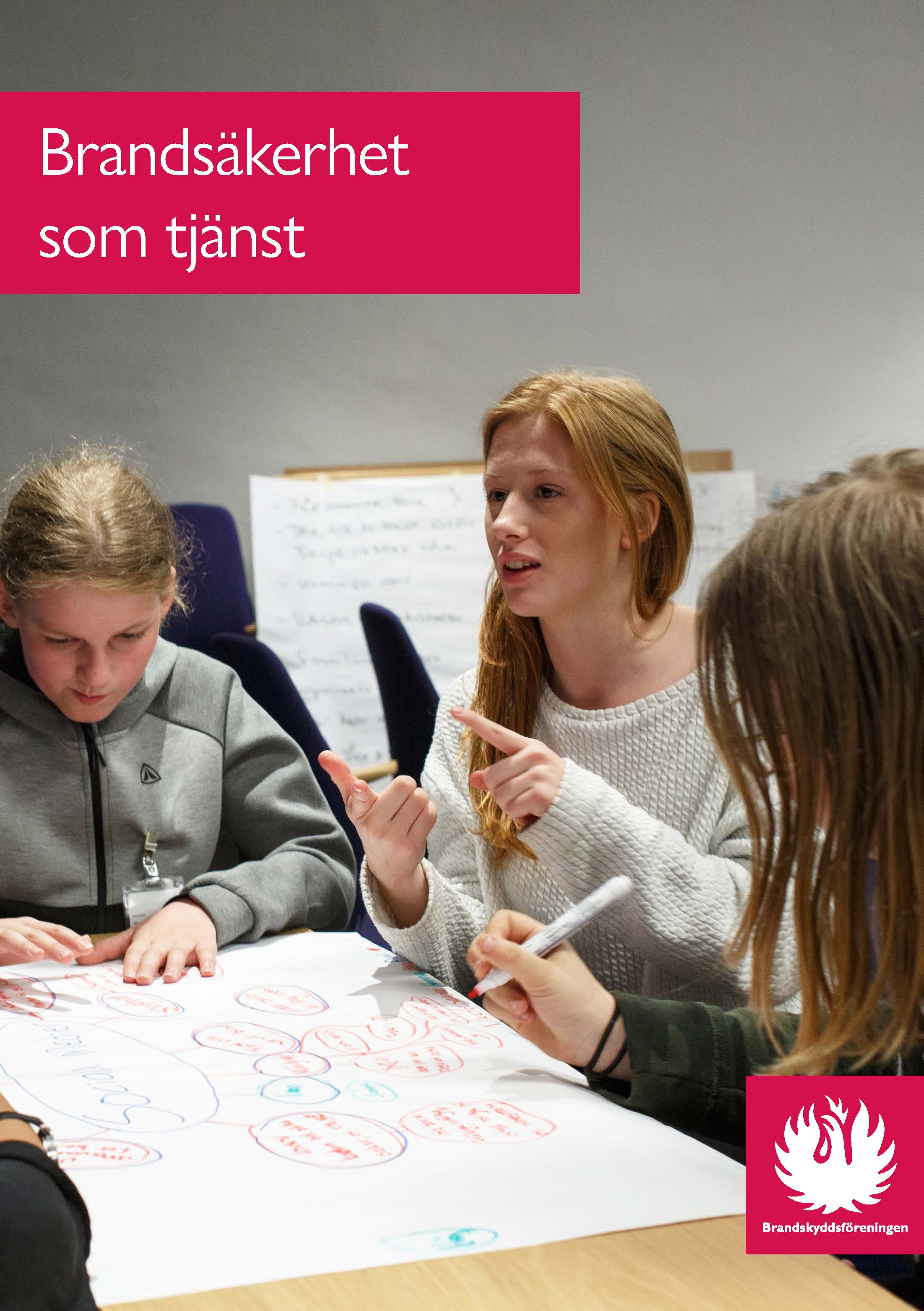 Brands&auml;ker-kommun-framsida-pdf.png