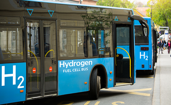 Blåa bussar med vit text på sidan som säger H2 och Hydrogen fuel cell bus